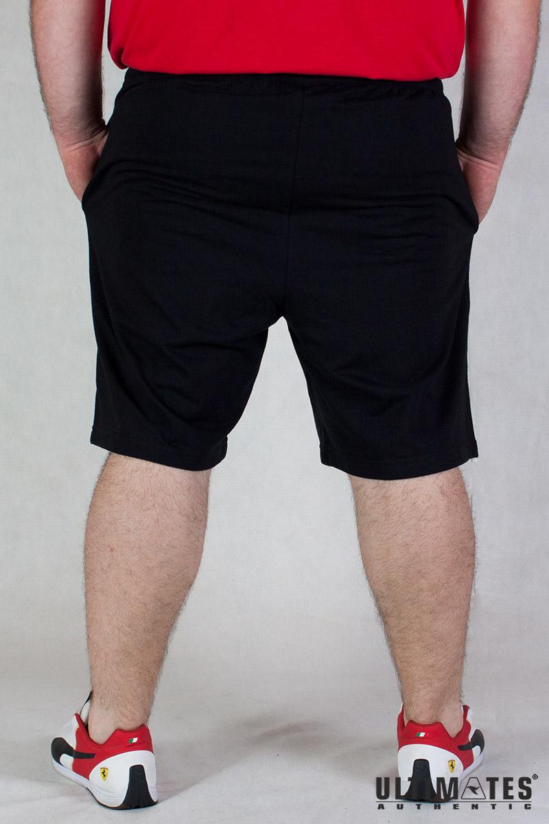 Sports Short Sports Short